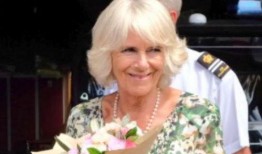 卡米拉最新爆料,揭开王室背后惊人真相